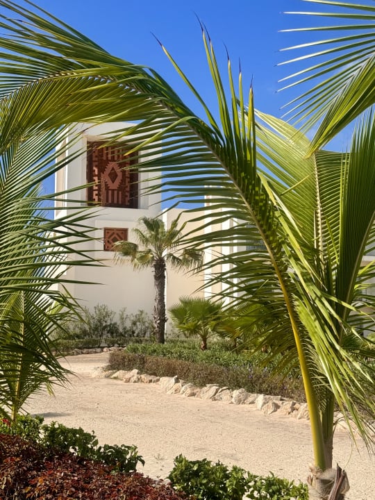 Gartenanlage Hotel Riu Palace Santa Maria