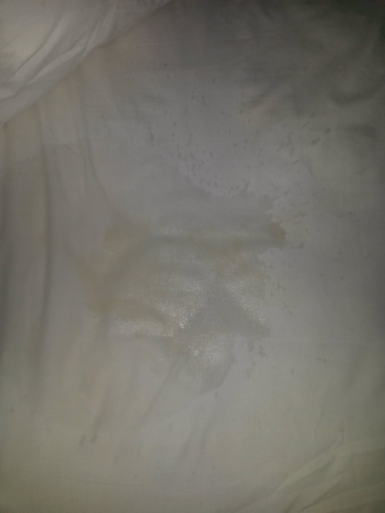 Elternbett Wyndham Alltra Samana