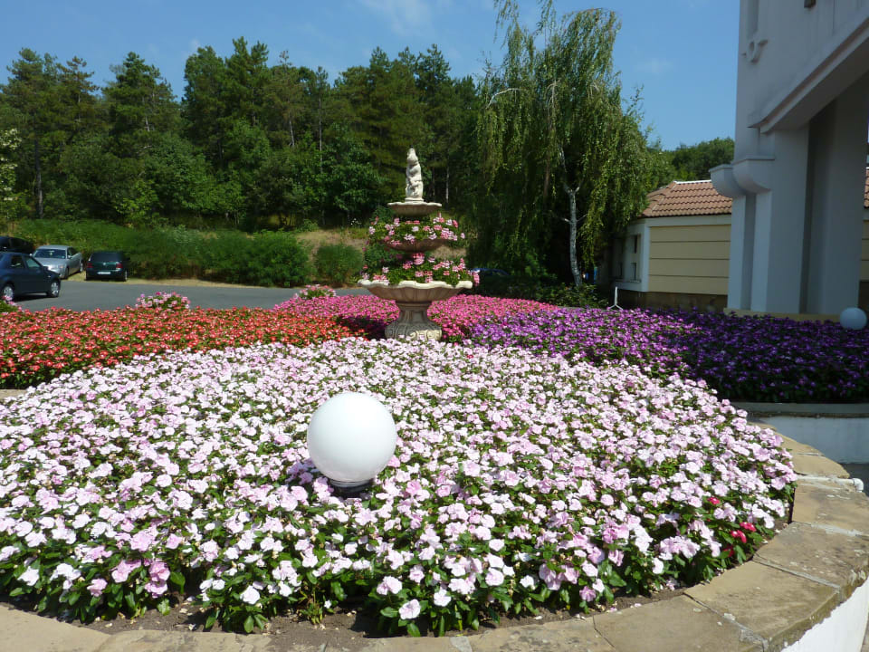 Vor dem Hotel Pelican Duni Royal Pelican Resort