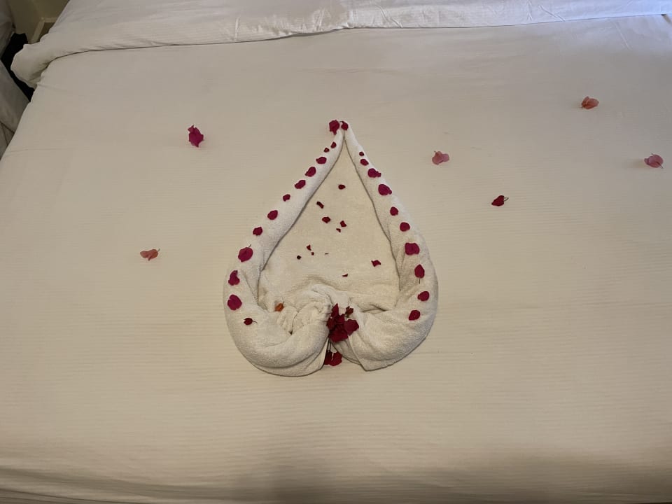 Zimmer Neptune Paradise Beach Resort & Spa