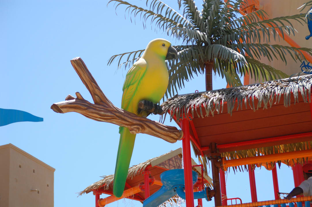 Einfach nur schön Grand Waterworld Makadi & Family Star Makadi