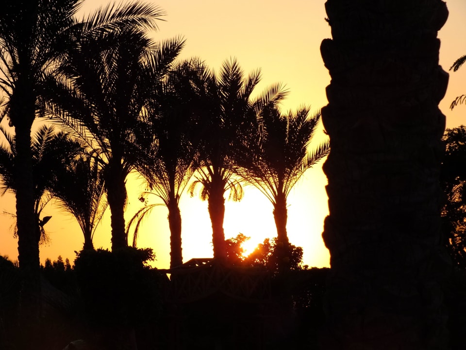 Безумно красиво все Le Jardin Aqua Park Resort