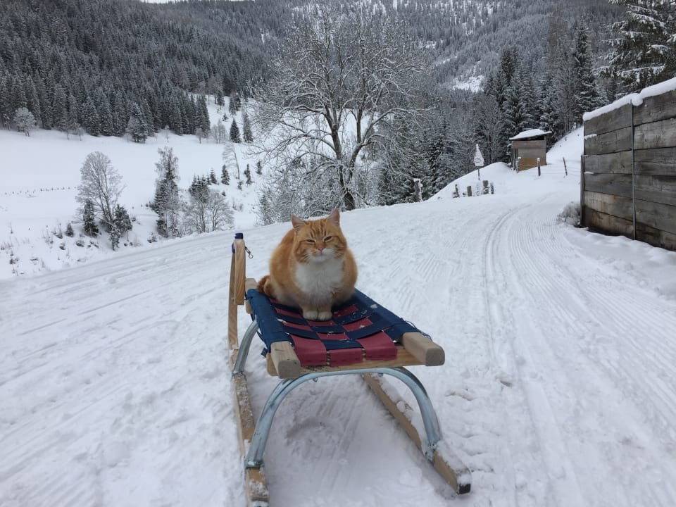 Außenansicht Hotel Neubergerhof