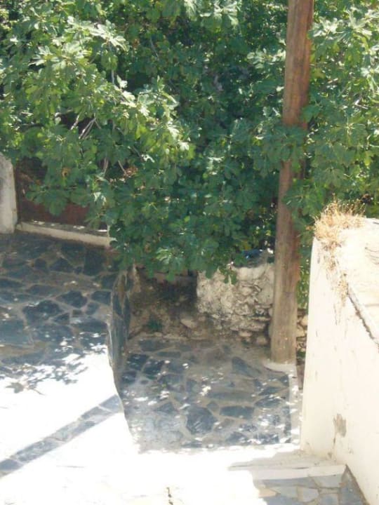 Treppe Hotel Kalypso