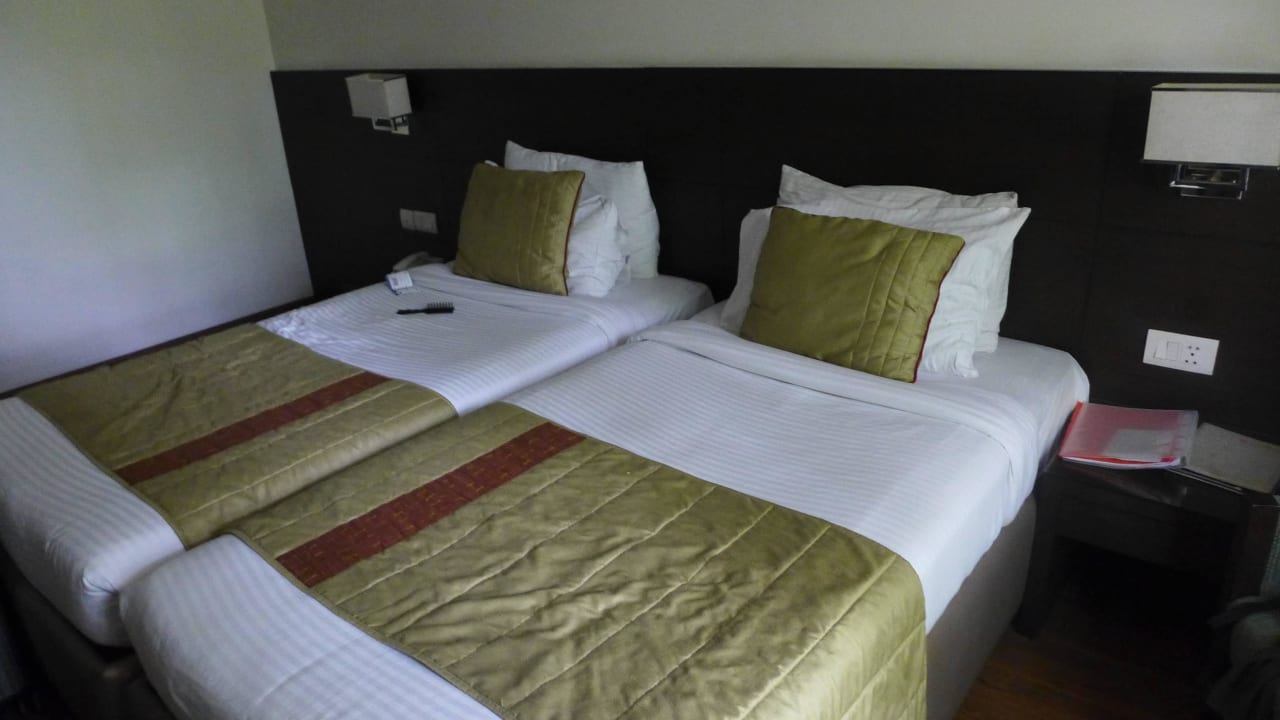 Zimmer Africa Avenue GK - 1