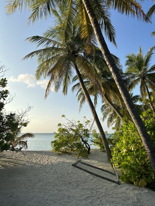 Strand Summer Island Maldives
