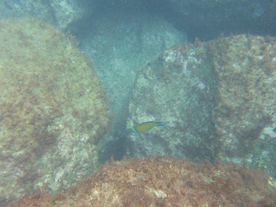 Sport & Freizeit HOVIMA Jardin Caleta