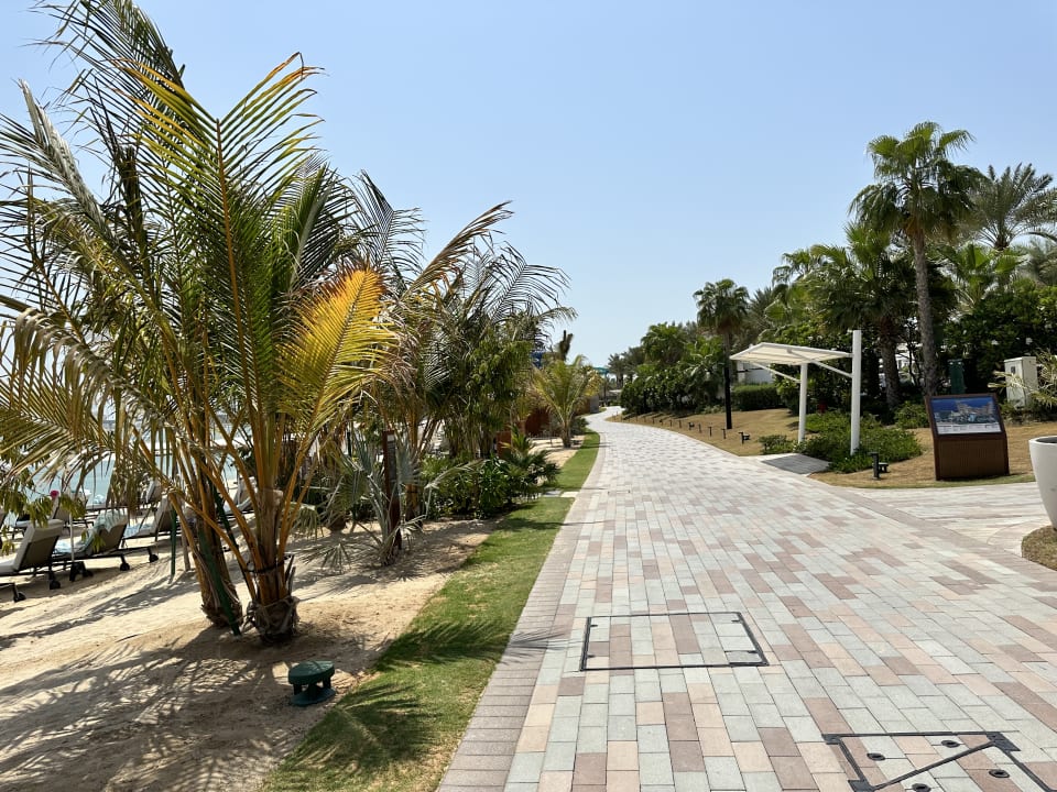 Ausblick Atlantis The Royal