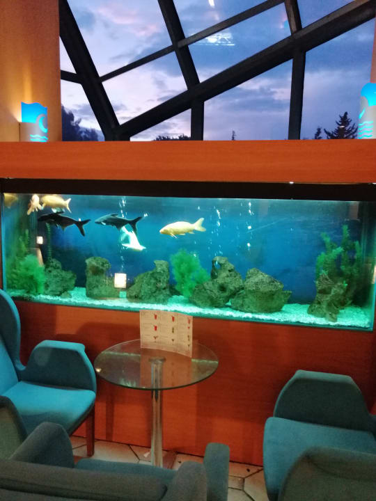 Gastro Limak Limra Hotel & Resort