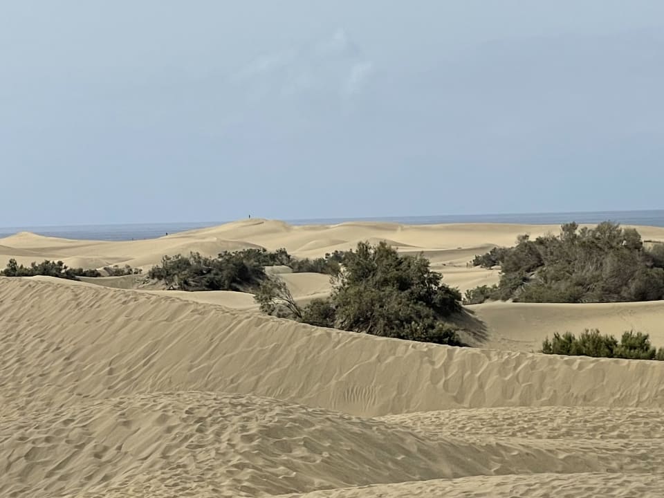 Strand Hotel Riu Palace Oasis