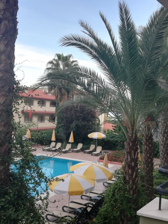 Ausblick Hotel Gardenia Beach