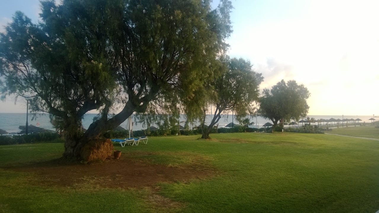 Sicht auf das Meer Lyttos Beach Hotel