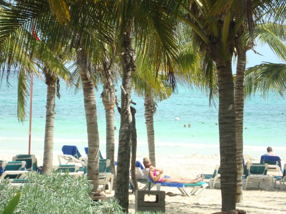 Hotel Catalonia Playa Maroma Catalonia Playa Maroma