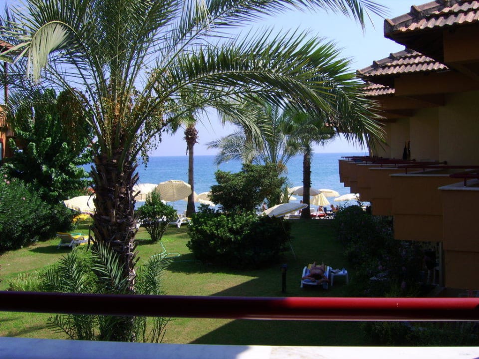 Ausblick vom Balkon! Hotel Panorama