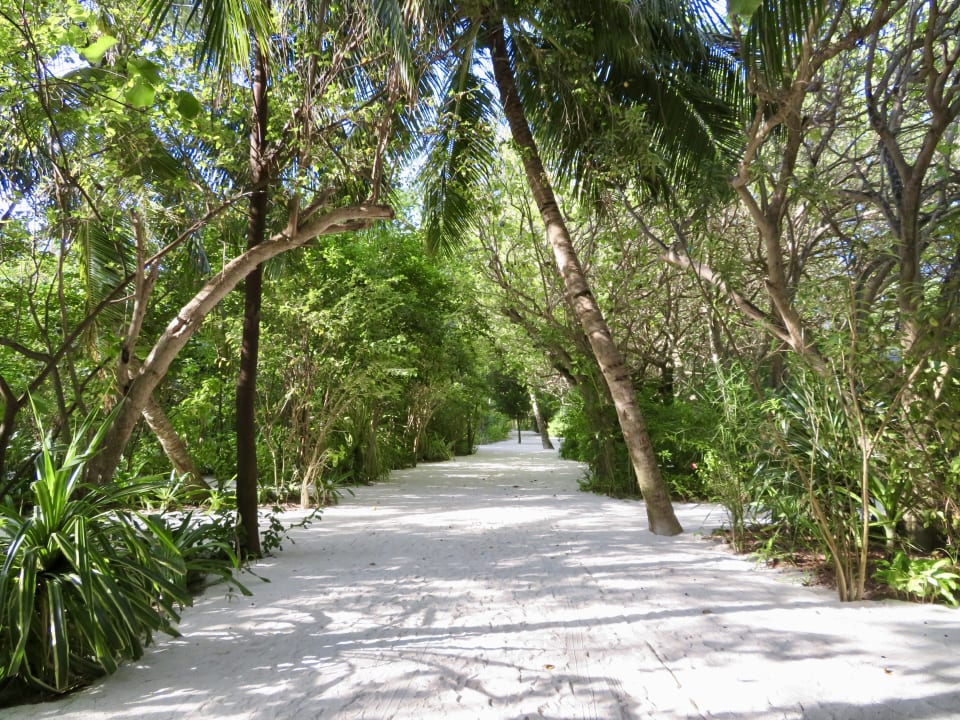 Gartenanlage Summer Island Maldives