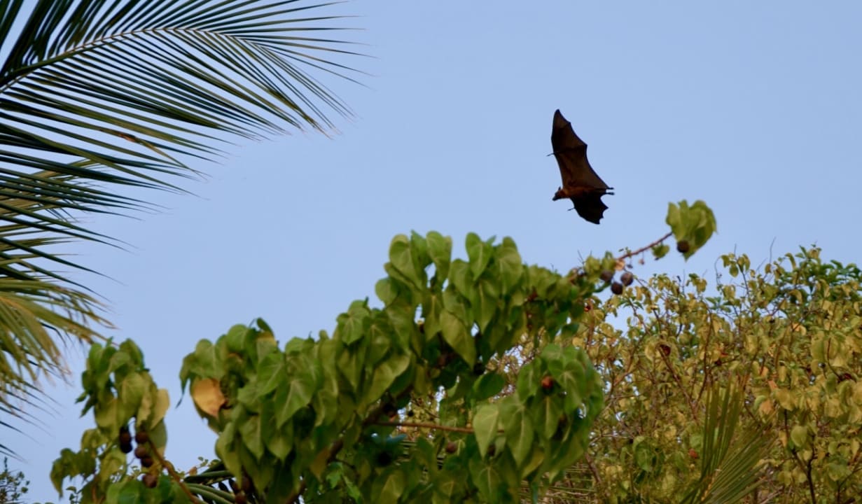 Ausblick Adaaran Select Meedhupparu Island Resort - Premium All Inclusive