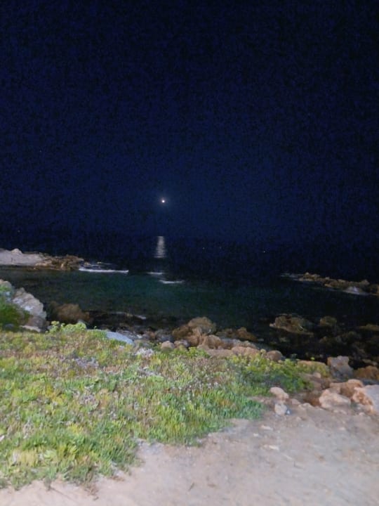 Sonstiges Cactus Beach