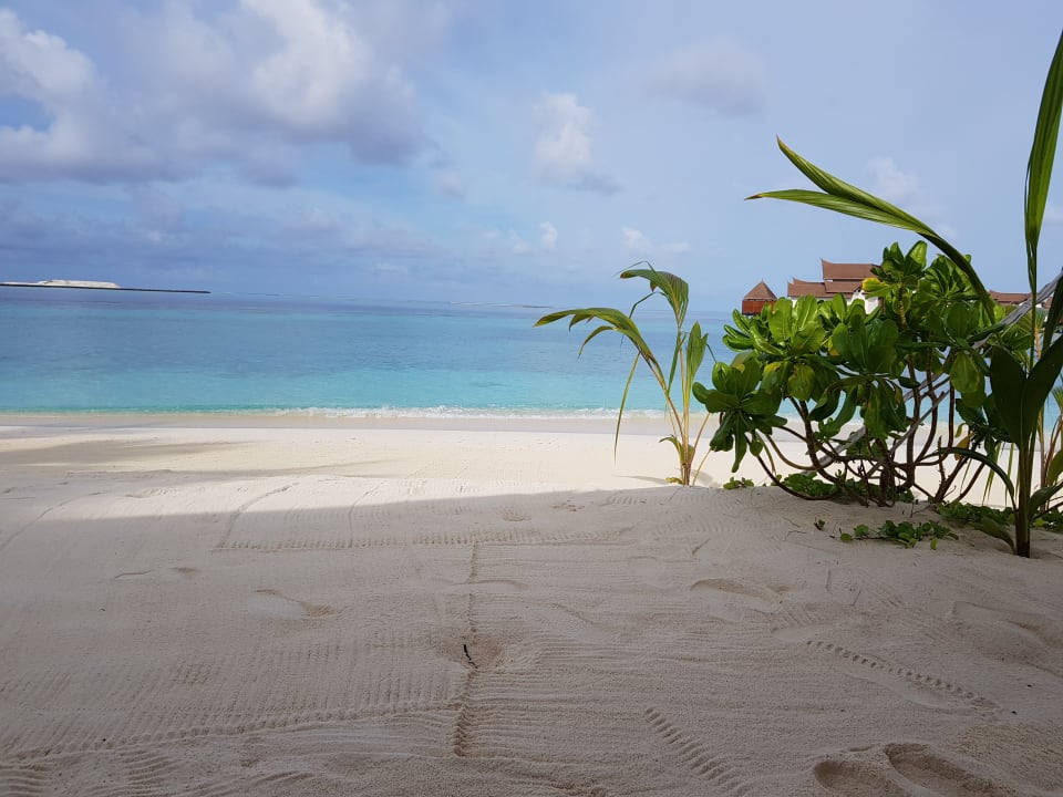 Ausblick OZEN RESERVE BOLIFUSHI