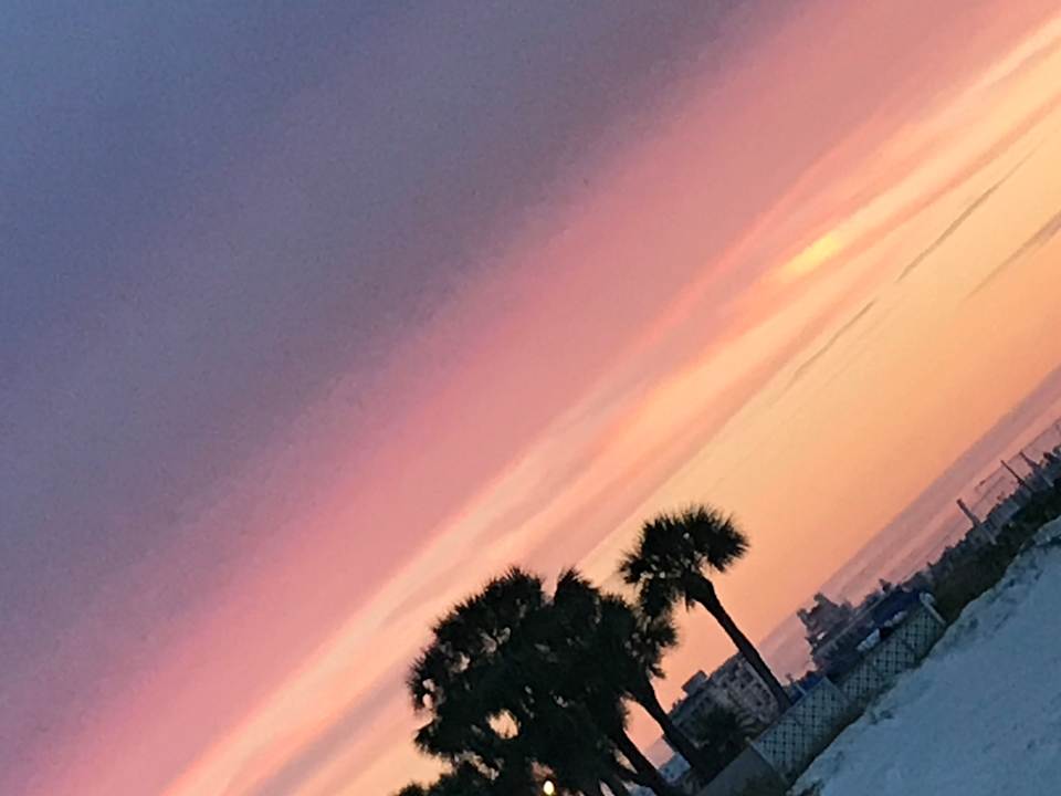 Ausblick Hotel The Alden Resort