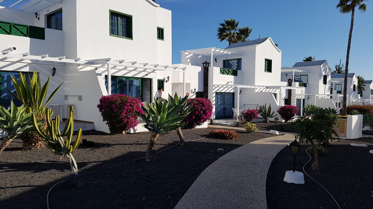 Gartenanlage Hotel Hyde Park Lane