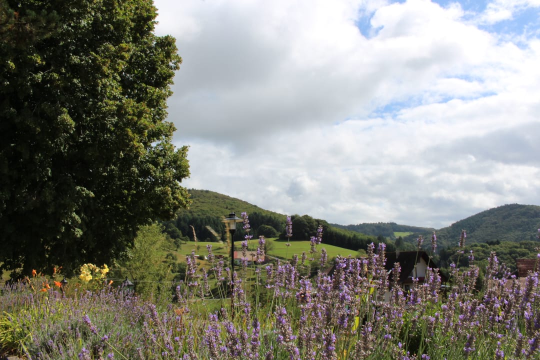 Ausblick Hotel Landgasthof Zum Pflug