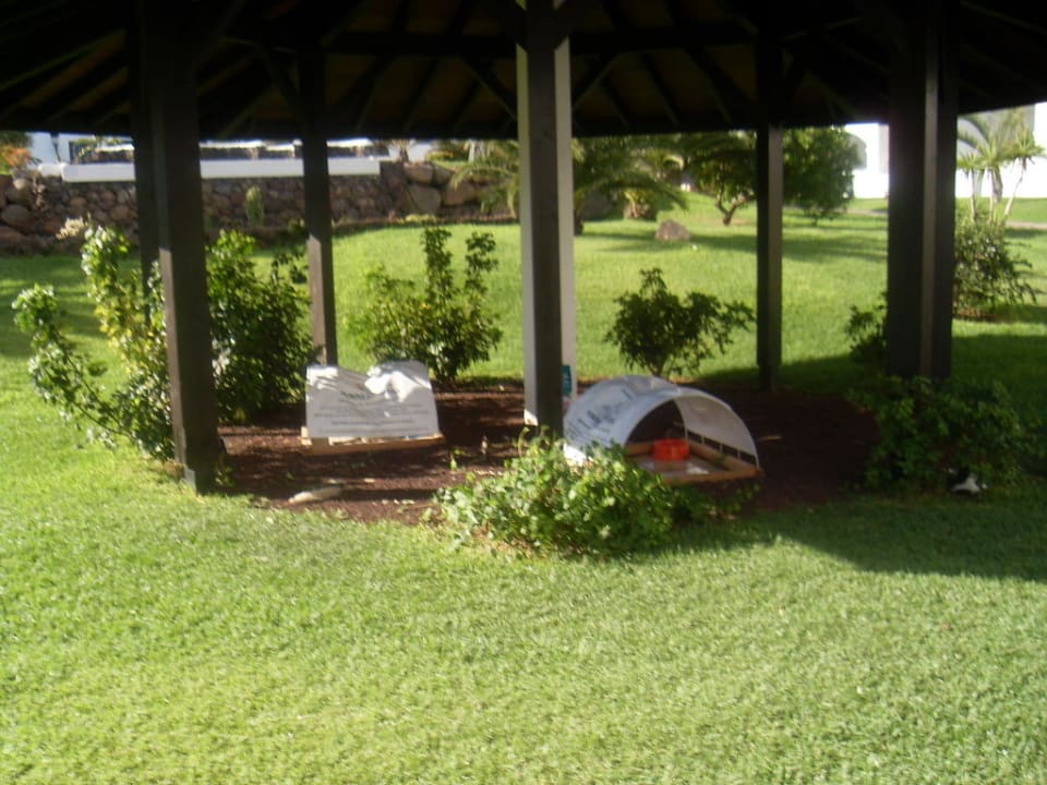 Punta de gatos  TUI MAGIC LIFE Fuerteventura