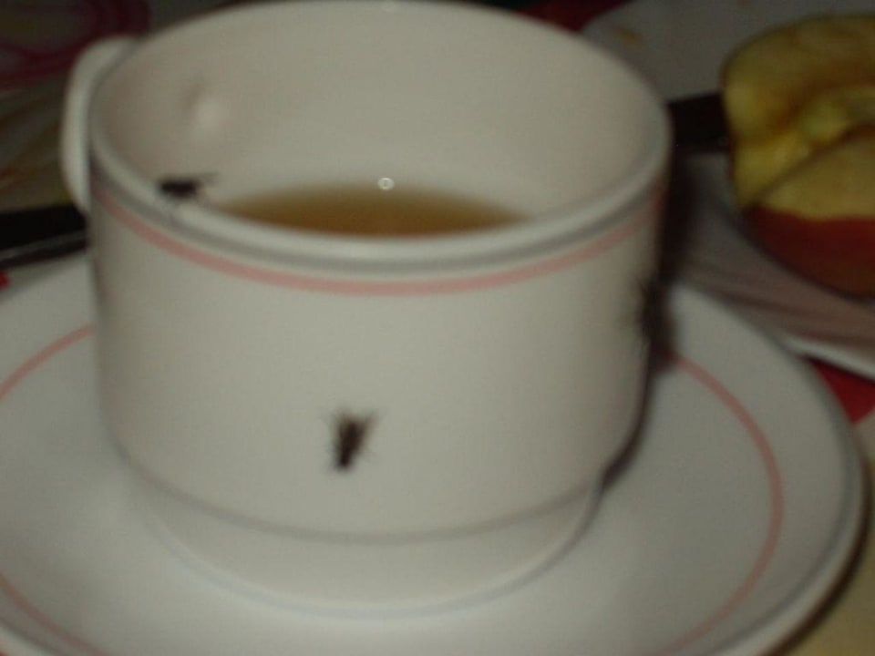 Die Kaffeetasse Gasthof Brücke