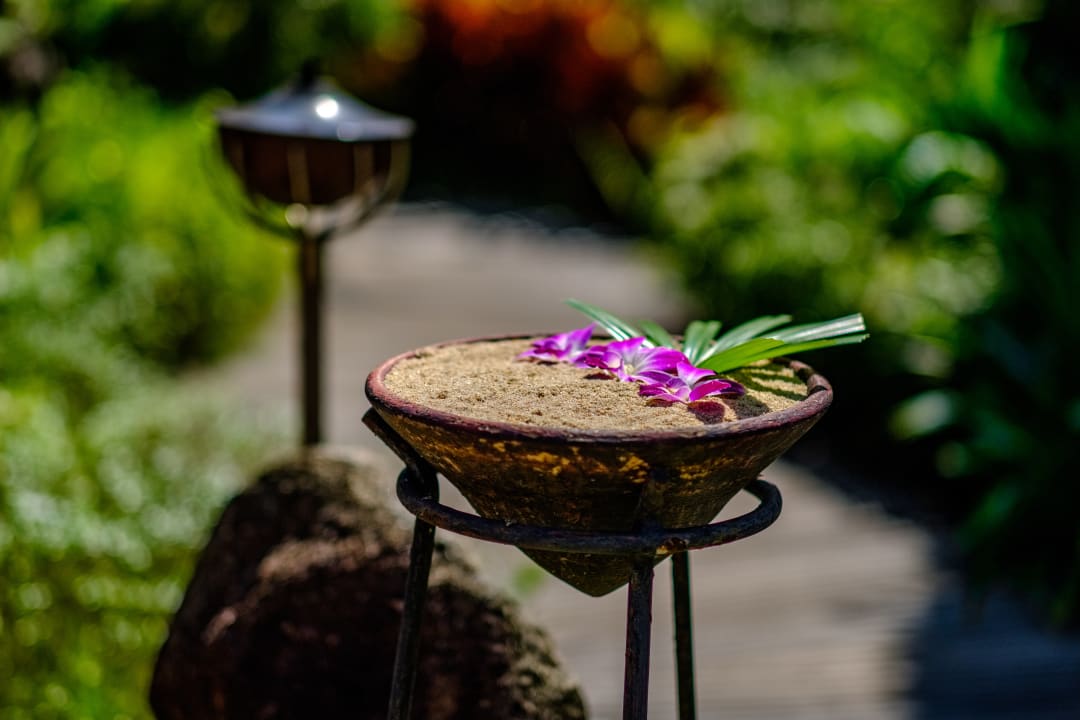 Gartenanlage Zazen Boutique Resort & Spa