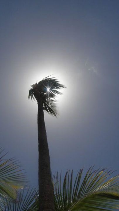 Blick zur Sonne TRS Turquesa Hotel - Adults only