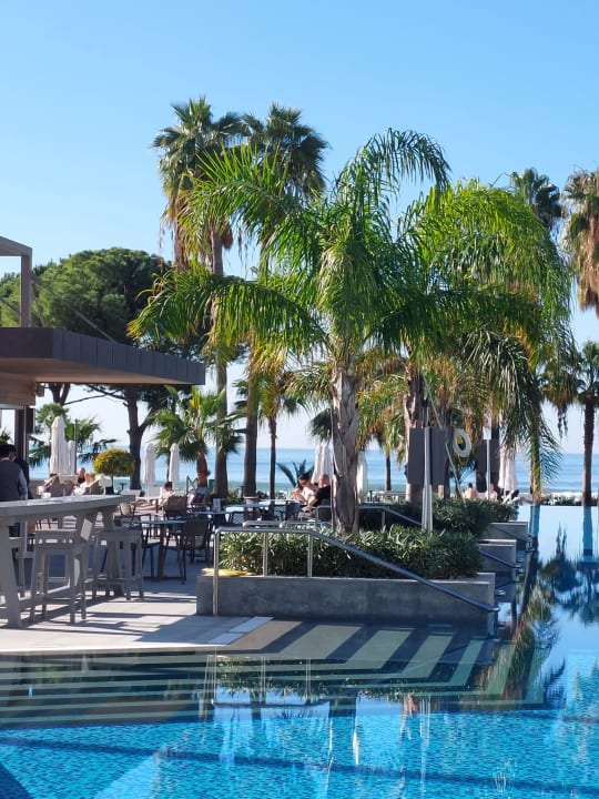 Gastro Acanthus Cennet Barut Collection