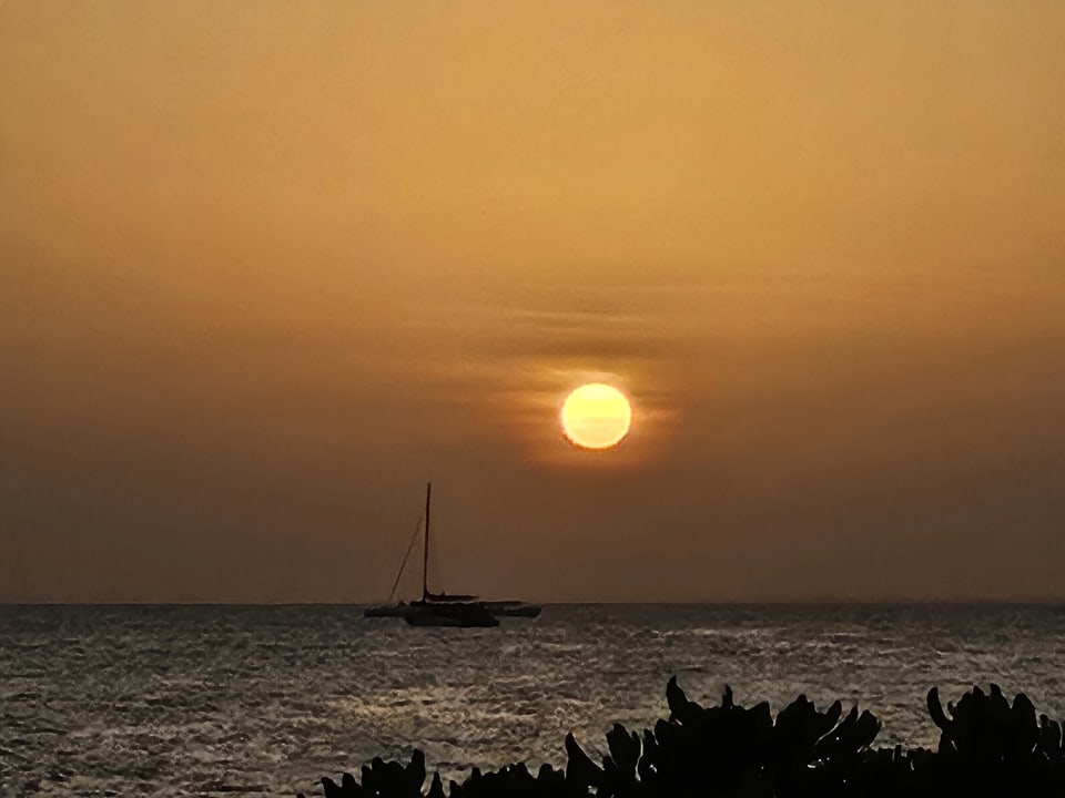 Ausblick Sunscape Dominicus La Romana