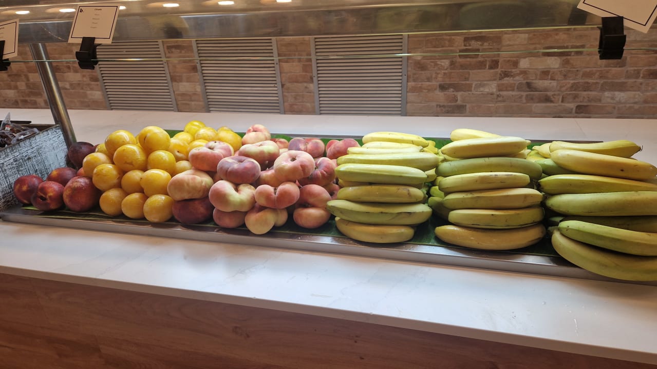 Gastro blau punta reina