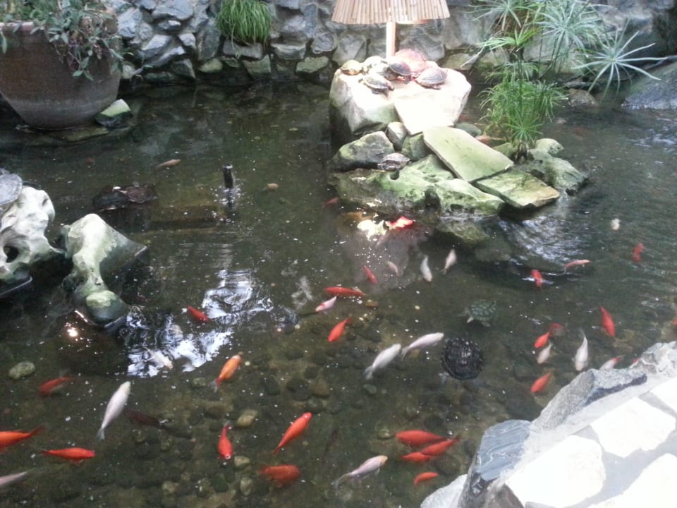 Fische Center Parcs Park Hochsauerland