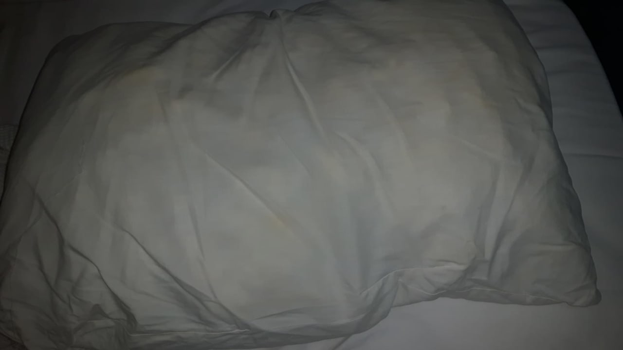 Zimmer Hotel Aslan City Kleopatra