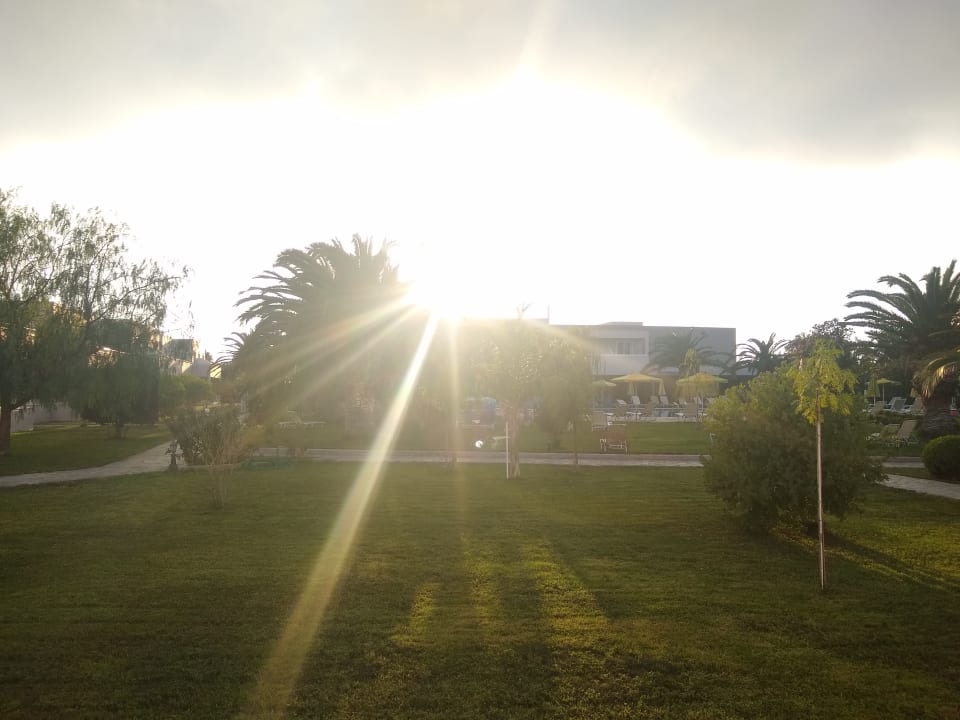 Gartenanlage Hotel Esperia