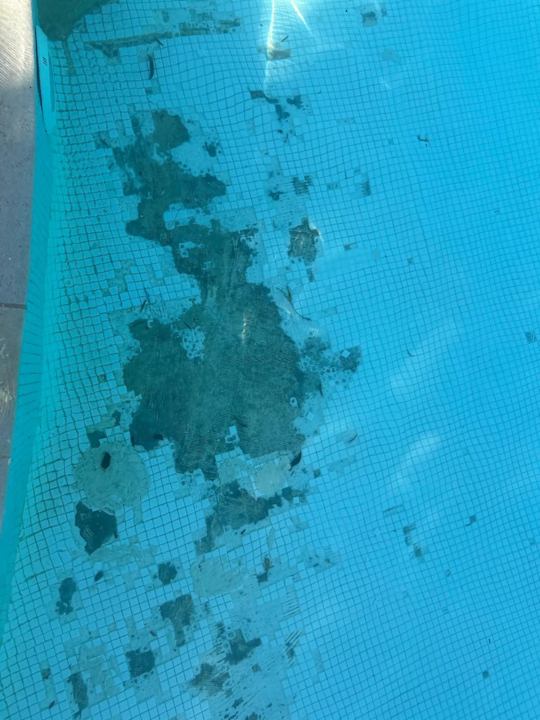 Pool Makadi Spa - Adults only