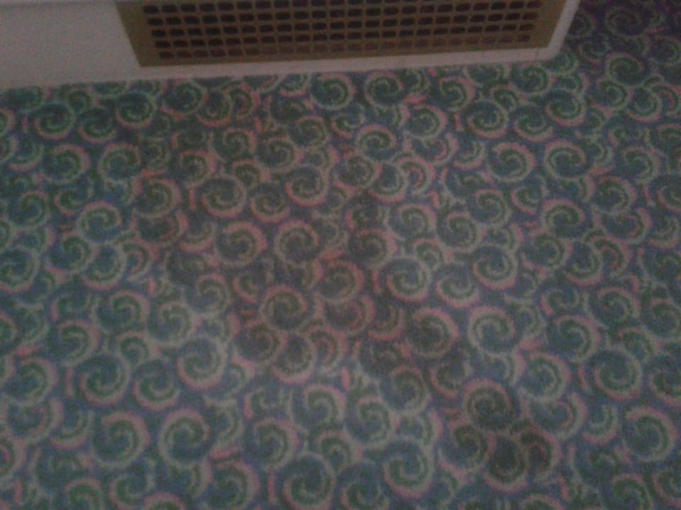 Der besagte alte und große Fleck Van der Valk Landhotel Spornitz