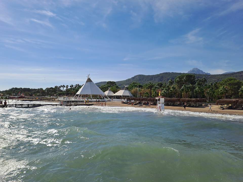 Strand Balmy Foresta