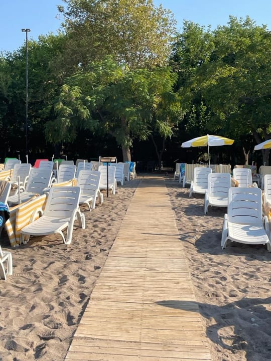 Strand Hotel Gardenia Beach