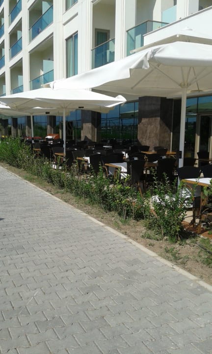 Буфет на воздухе Armas Life Belek