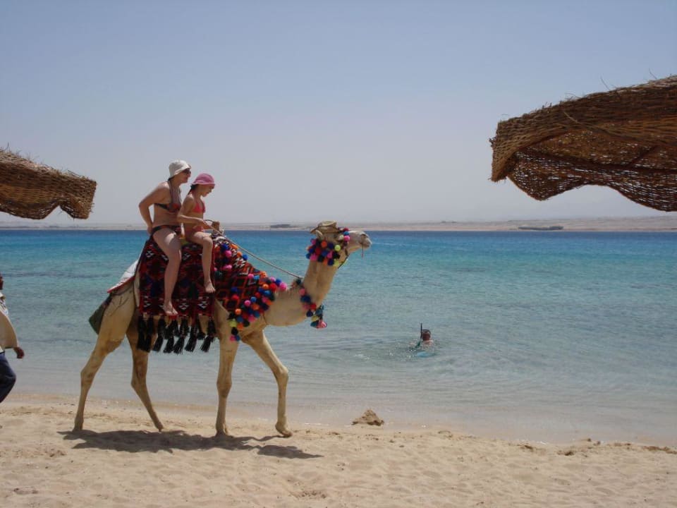 Am Strand Pyramisa Beach Resort Sahl Hasheesh