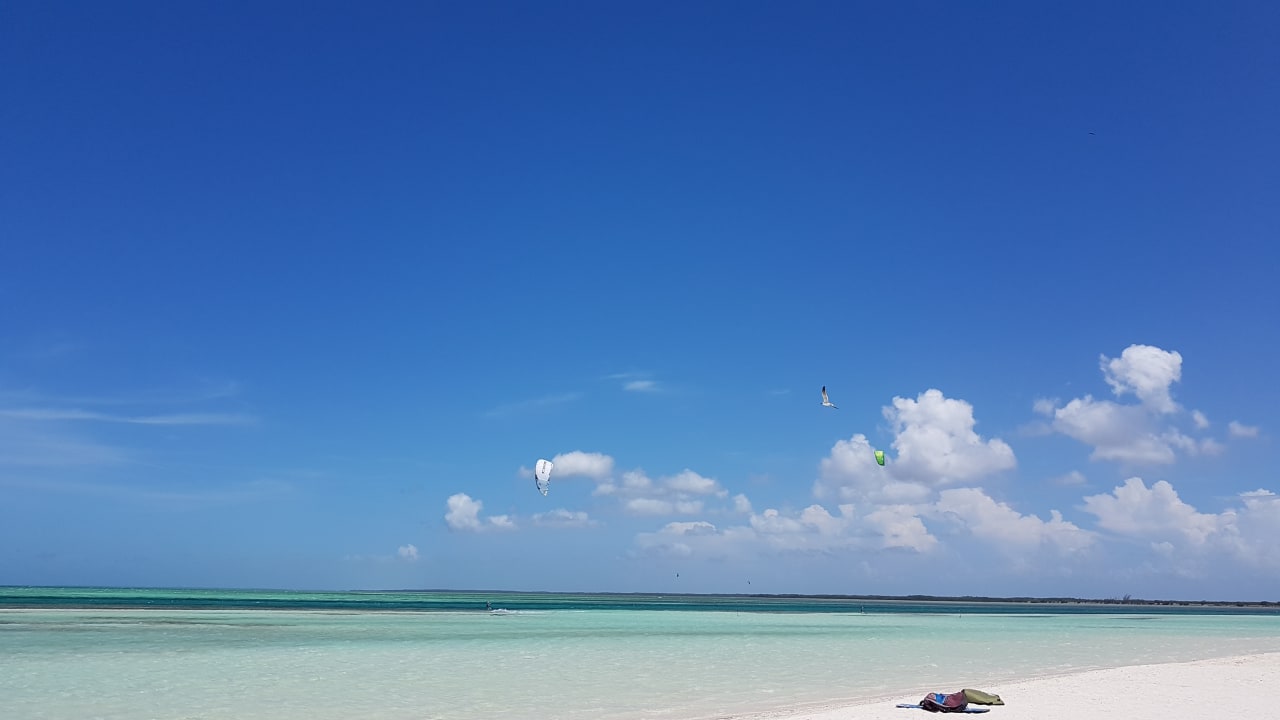 Strand Starfish Cayo Guillermo