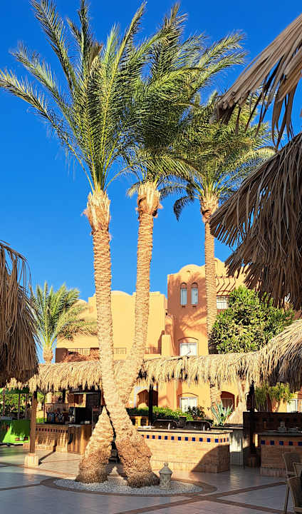 Außenansicht Jaz Makadi Oasis Resort