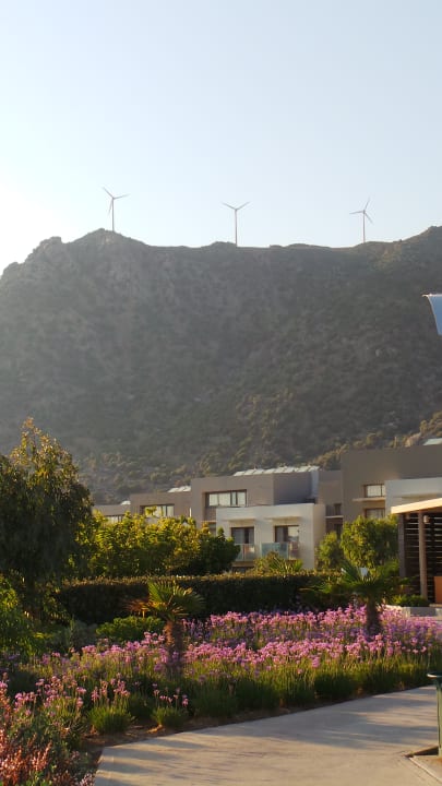 Gartenanlage Akti Palace Resort & Spa