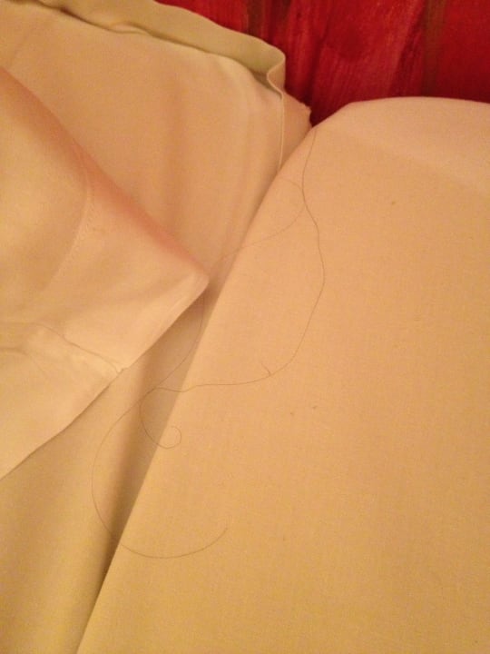 Lange Haare auf dem Kopfkissen Art Fabrik Hotel