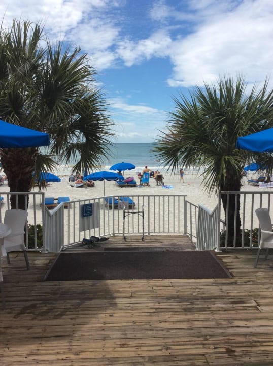 Beach  DoubleTree Suites by Hilton Tampa Bay