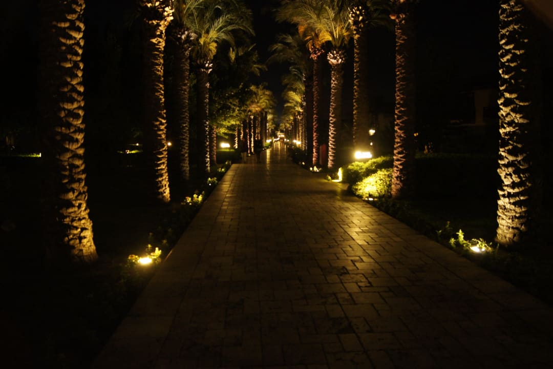 1 TUI BLUE Palm Garden