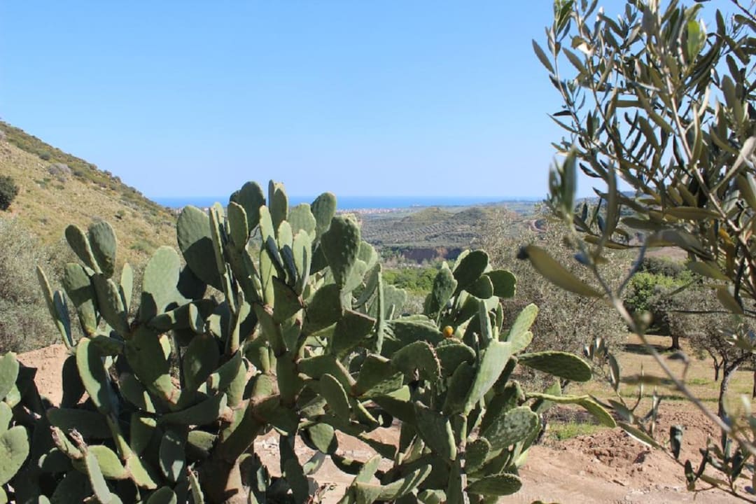 Sonstiges Agriturismo Podere Pansera