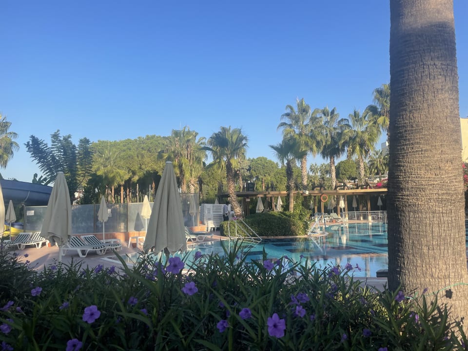 Gartenanlage Trendy Palm Beach (Adults Only, 16+)