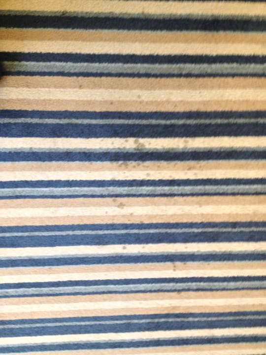 Dreckiger Teppich im Zimmer Hotel Four Points by Sheraton San Diego